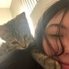bittykittybitty